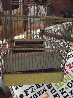 Ancient Canary Cage Goldfinch Circa 1900 Wood And Metal To Be Restored