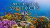 New 11 Hours Of 4k Underwater Wonders Relaxing Music Coral Reefs U0026 Colorful Sea Life In Uhd