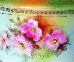 Vintage Art New Hand Painted Wild Rose Covered Porcelain Bowl Germany